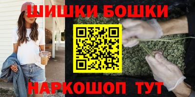 МДПВ Бийск