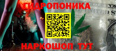 МДПВ Бийск