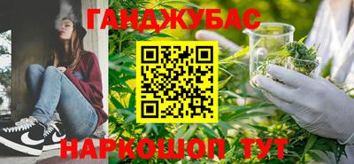 МДПВ Бийск