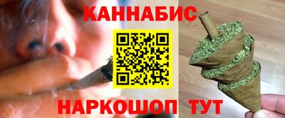 МДПВ Бийск