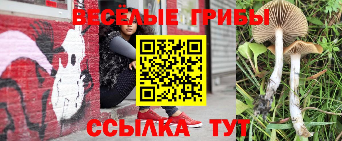Галлюциногенные грибы мицелий  Галлюциногенные грибы Psilocybine cubensis  Вход с VPN  Избербаш 