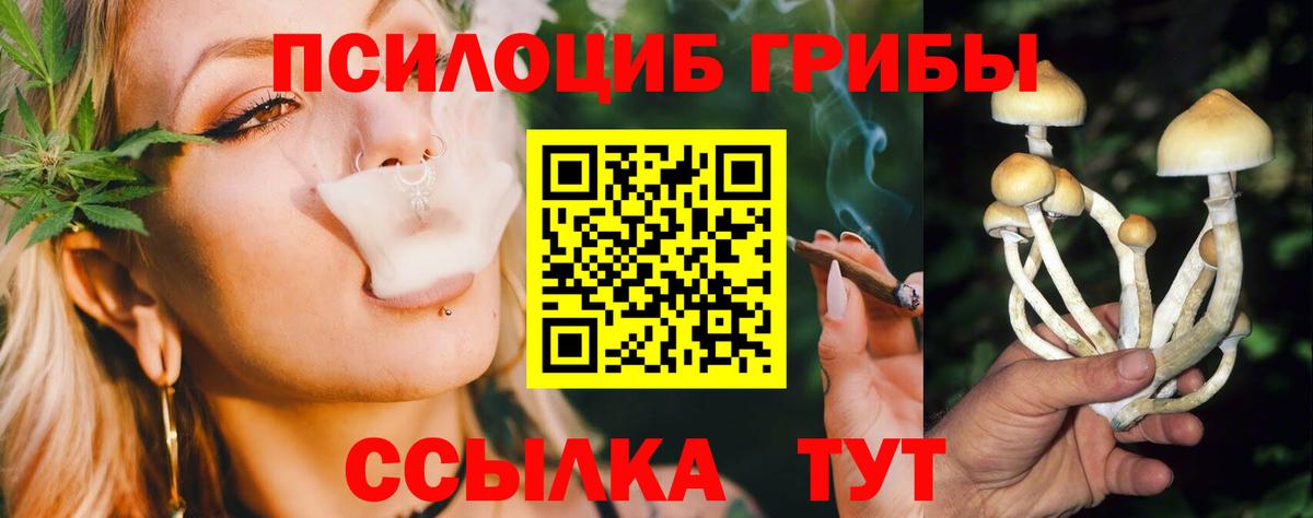Псилоцибиновые грибы MAGIC MUSHROOMS Избербаш
